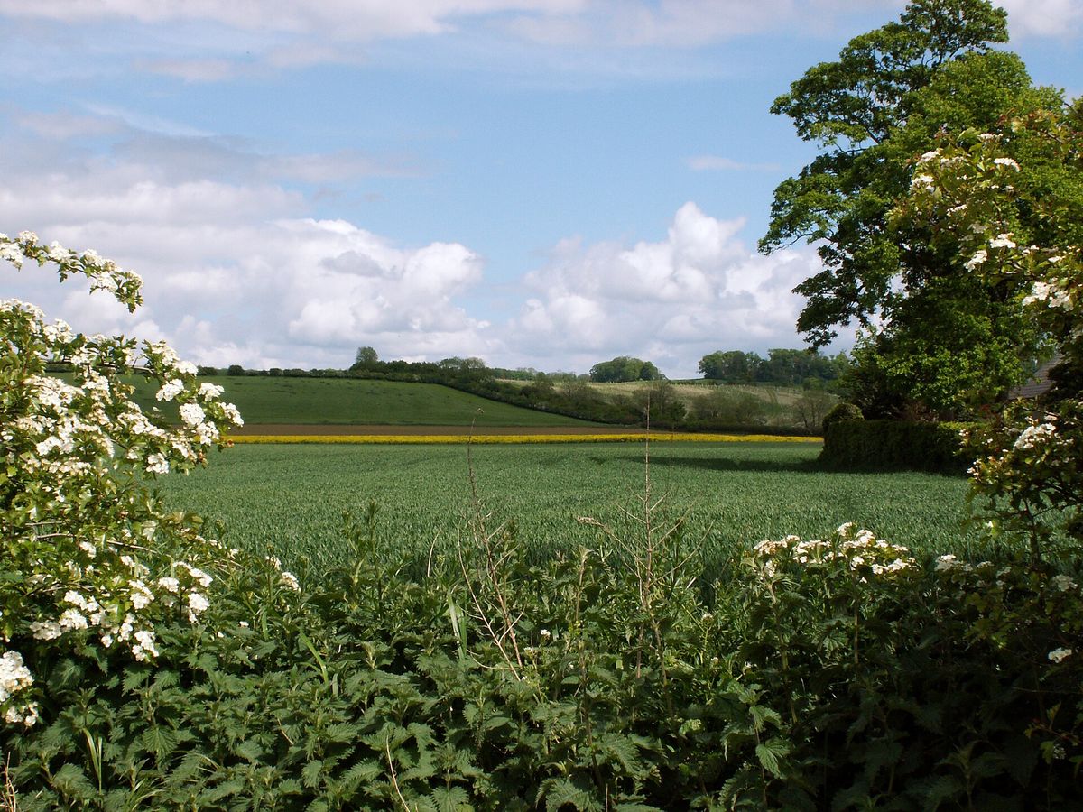 Farmland near Belton, north-east of Grantham, with hawthorn in flower