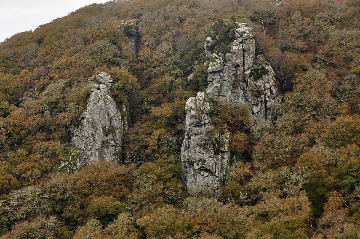 The Dewerstone rocks in the Plym valley on Dartmoor